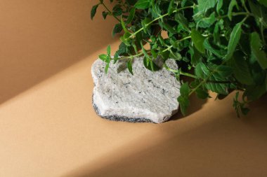 Bej arka planda gölgeli iki renkli taş podyum. Model