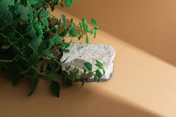 Stone podium with two colors on beige background with shadows. Mockup — Foto Stock