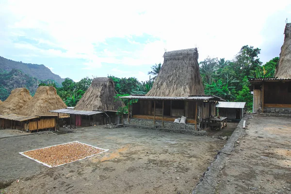 Bena Uma Aldeia Tradicional Com Cabanas Grama Povo Ngas Flores — Fotografia de Stock
