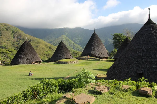 Wae Rebo köyü, eski bir Manggaraian köyüdür. Hoş ve izole bir dağ manzarası vardır. Temiz hava alıyor ve Endonezya, Flores 'teki güzel anı görüyor.