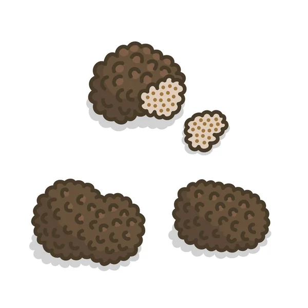 Truffle Mushroom Retro Old Line Art Etching Vector — Διανυσματικό Αρχείο