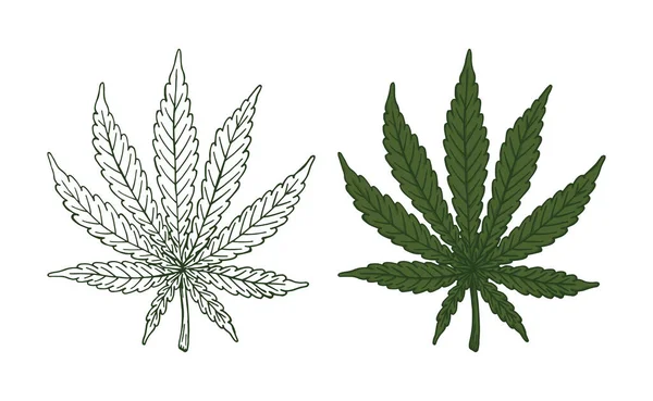 Green Cannabis Leaf Retro Old Line Art Etching Vector — стоковый вектор