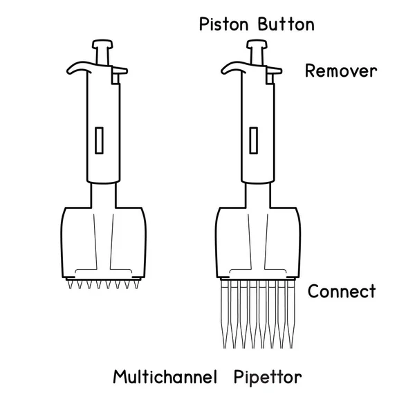 Laboratory Micropipette Set Adjustable Transfer Pipettes Controller Fixed Volume Multichannel — Image vectorielle