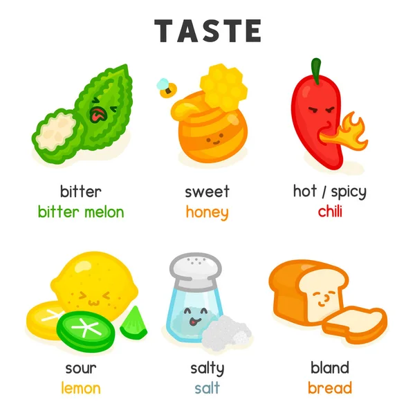 Food Taste Diagram Chart Science Subject Kawaii Doodle Vector Cartoon — Archivo Imágenes Vectoriales