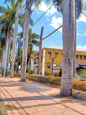 Yazın şehir manzarası