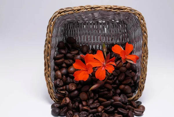 red flowers among coffee beans in a wicker basket