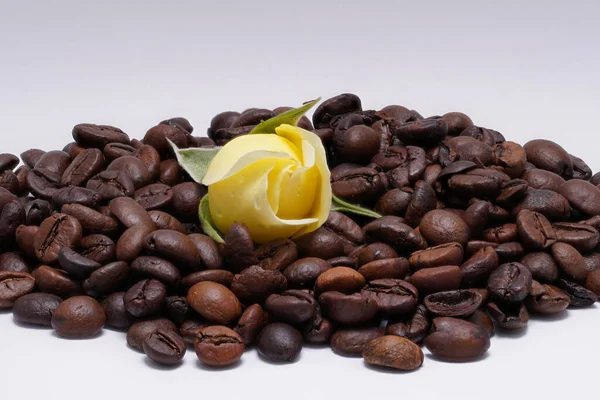 yellow rose among coffee beans