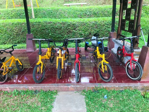 Маленькие Красочные Велосипеды Маленьких Детей Аренду Парке — стоковое фото