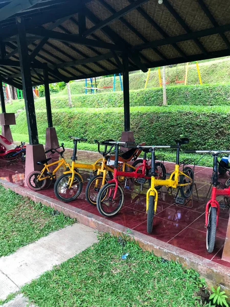 Kleine Kleurrijke Fietsen Voor Kleine Kinderen Huur Een Park — Stockfoto