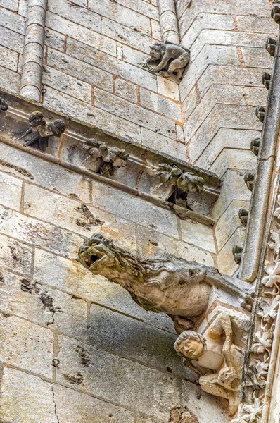 Downspout Carved Stone Form Gargoyle Saint Peter Cathedral Poitiers France — стоковое фото