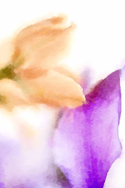 Квітковий Акварельний Живопис Крупним Планом Жовтих Фіолетових Квітів — стокове фото