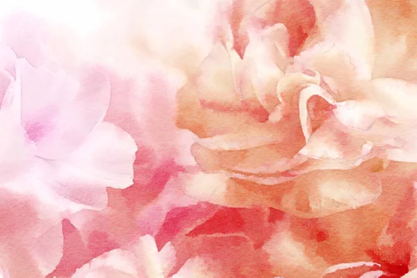 Romantic Flower Watercolor Painting Close Pink Orange Petal Flowers — Foto Stock