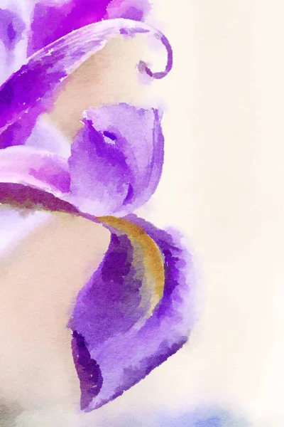 Романтичний Квітковий Акварельний Живопис Крупним Планом Фіолетові Квіти Ірису — стокове фото