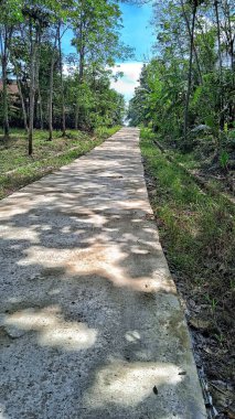Göç yerleşimlerindeki köyler arasındaki bağlantı yolları arasındaki doğal manzara