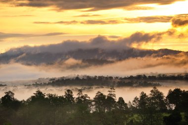 Silhouette moutain and tree of travel place in Thailand