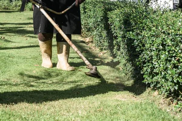 lawn mower worker woman cutting grass in green field