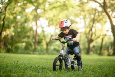 Bangkok Thailand - Oct 09, 2016 : happy cheerful child boy riding a bike in Park in the nature