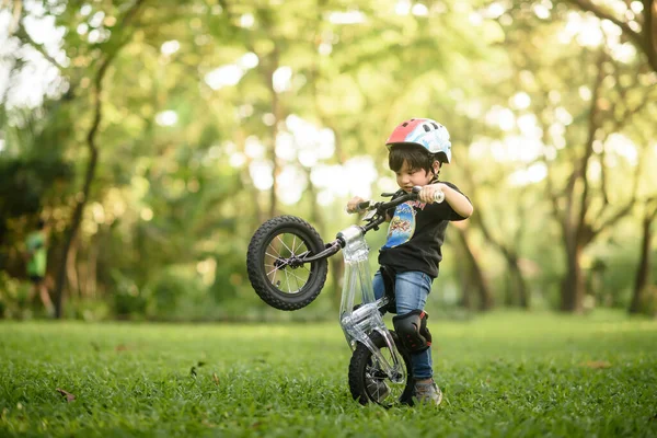 Bangkok Thailand - Oct 09, 2016 : happy cheerful child boy riding a bike in Park in the nature