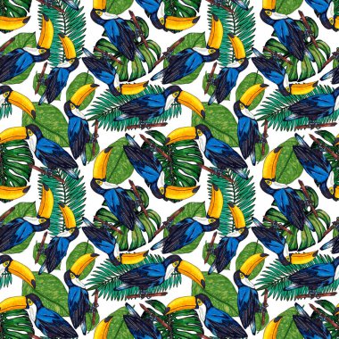 Tukanla dikişsiz suluboya desen. Tropik kuşlu ve yapraklı egzotik botanik orman duvar kağıdı. Parlak yaz şablonu geçmişi.