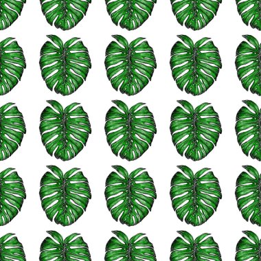 Tropikal yapraklarla suluboya kusursuz desen. Elle çizilmiş egzotik bitkilerle çok güzel bir iz. Mayo botanik tasarımı.