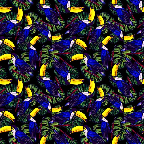 Watercolor Seamless Pattern Toucan Exotic Botanical Jungle Wallpaper Tropical Bird — Stock Photo, Image