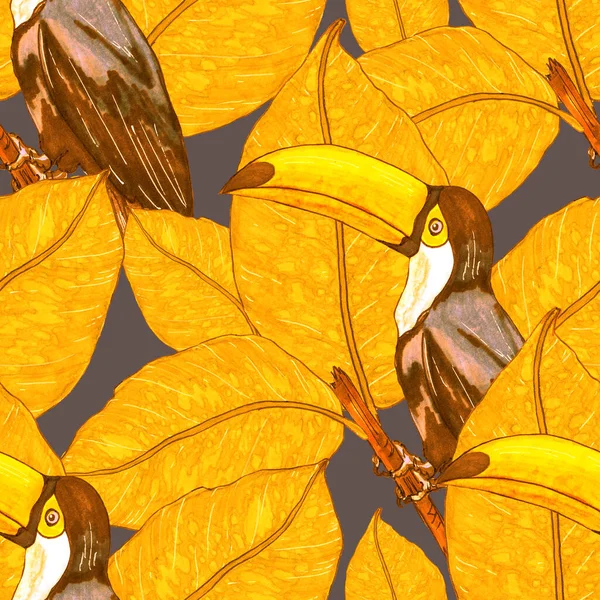 Akvarell Zökkenőmentes Minta Toucan Egzotikus Botanikus Dzsungel Tapéta Trópusi Madár — Stock Fotó