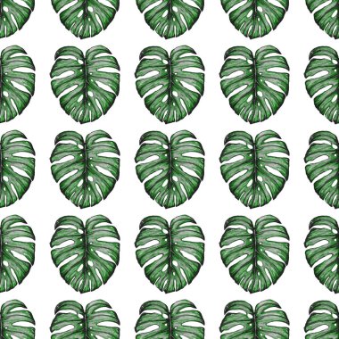 Tropikal yapraklarla suluboya kusursuz desen. Elle çizilmiş egzotik bitkilerle çok güzel bir iz. Mayo botanik tasarımı.