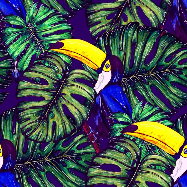 Aquarell Nahtloses Muster Mit Tukan Exotische Botanische Dschungeltapete Mit Tropischen — Stockfoto