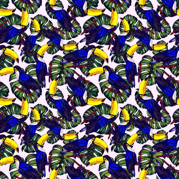 Aquarelle Motif Sans Couture Avec Toucan Fond Écran Botanique Jungle — Photo