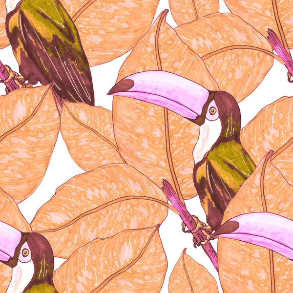 Akvarel Bezešvný Vzor Toucan Exotické Botanické Tapety Džungle Tropickým Ptákem — Stock fotografie