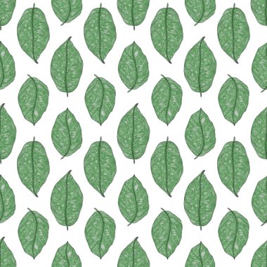 Tropikal yapraklarla suluboya kusursuz desen. Elle çizilmiş egzotik bitkilerle çok güzel bir iz. Mayo botanik tasarımı.