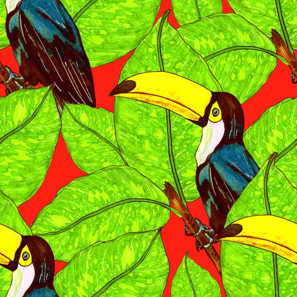 Tukanla Dikişsiz Suluboya Desen Tropik Kuşlu Yapraklı Egzotik Botanik Orman — Stok fotoğraf