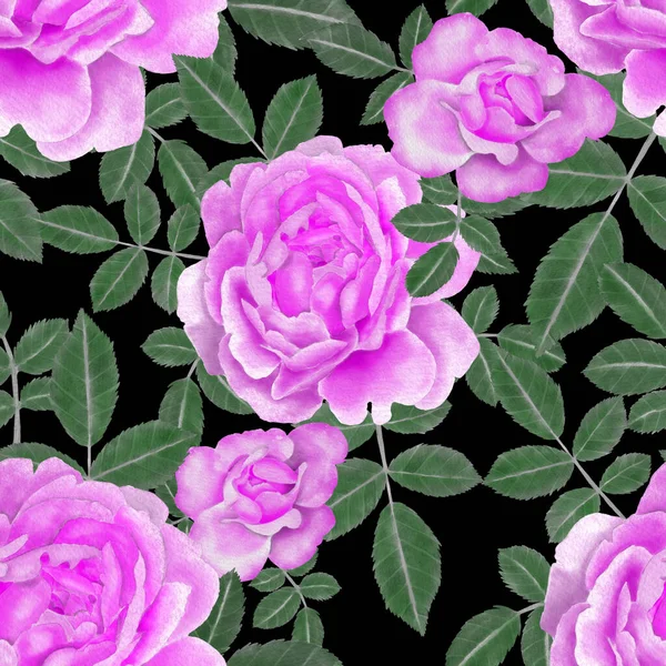 Akvarel Bezešvé Vzor Růží — Stock fotografie