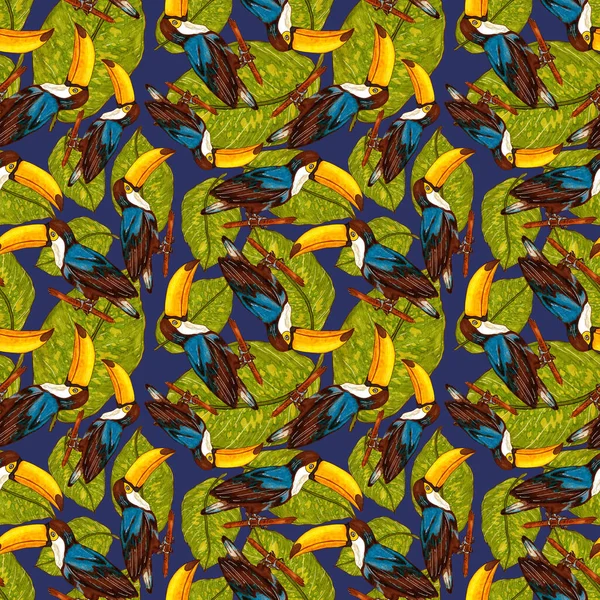 Acuarelă Model Fără Sudură Toucan Tapet Exotic Din Junglă Botanică — Fotografie, imagine de stoc