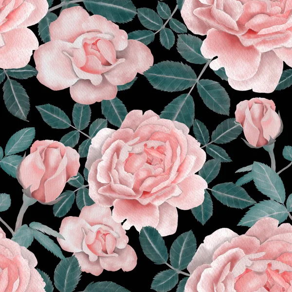 Akvarel Bezešvé Vzor Růží — Stock fotografie