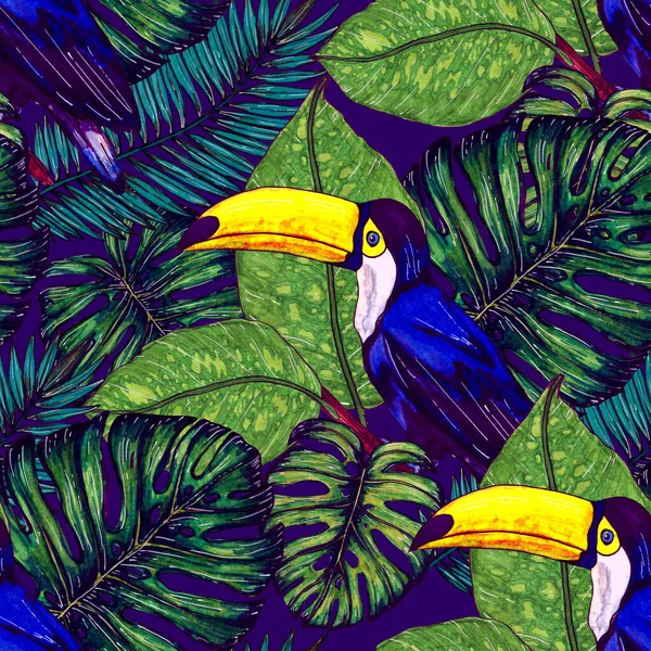 Akvarel Bezešvný Vzor Toucan Exotické Botanické Tapety Džungle Tropickým Ptákem — Stock fotografie