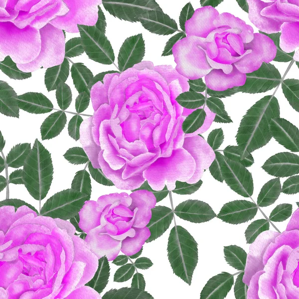 Aquarelle Motif Sans Couture Avec Des Roses — Photo