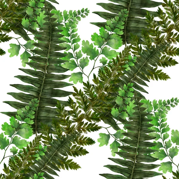 Watercolor Seamless Pattern Fern Leaves Foliage Decoration Vintage Botanical Exotic — Stock Photo, Image