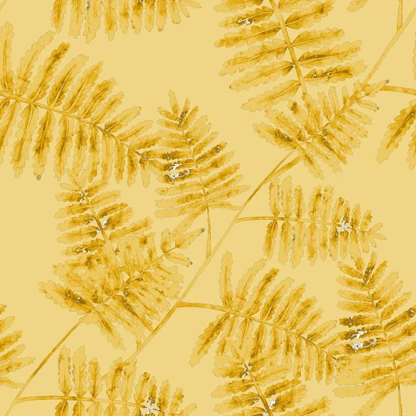 有蕨叶的水彩画无缝图案 民间装潢 古色古香的植物异国情调插图壁纸 — 图库照片