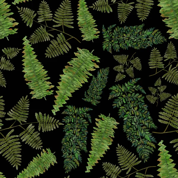 Akvarell Zökkenőmentes Minta Páfránylevelekkel Levéldekoráció Vintage Botanikai Egzotikus Illusztráció Tapéta — Stock Fotó
