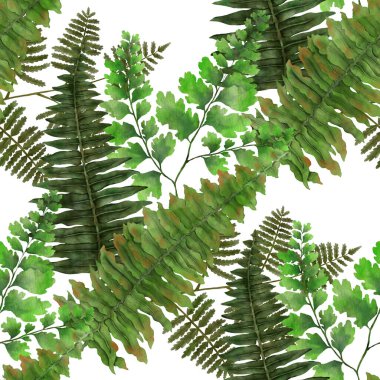 Eğrelti otu yapraklı suluboya desenli. Yaprak süsleme. Klasik botanik egzotik resim duvar kâğıdı.