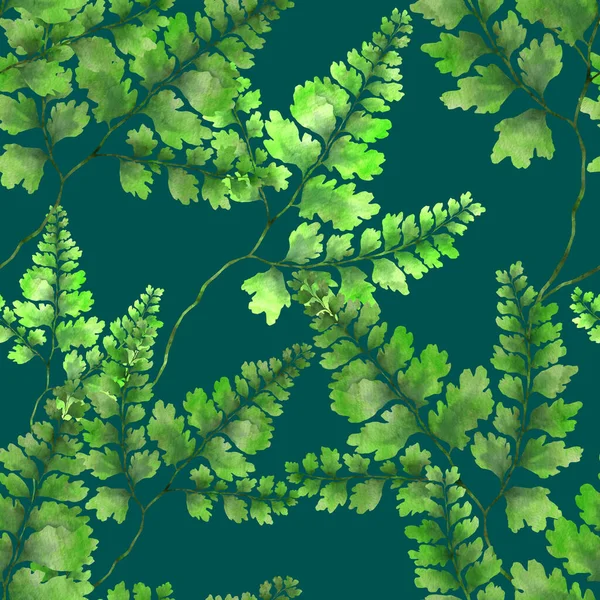 シダの葉と水彩シームレスパターン 葉の装飾 ヴィンテージ植物エキゾチックなイラスト Alliphonewallpapers Net — ストック写真