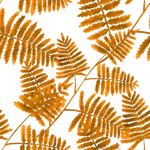 Watercolor Seamless Pattern Fern Leaves Foliage Decoration Vintage Botanical Exotic — Stockfoto