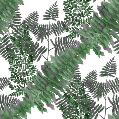 Eğrelti otu yapraklı suluboya desenli. Yaprak süsleme. Klasik botanik egzotik resim duvar kâğıdı.