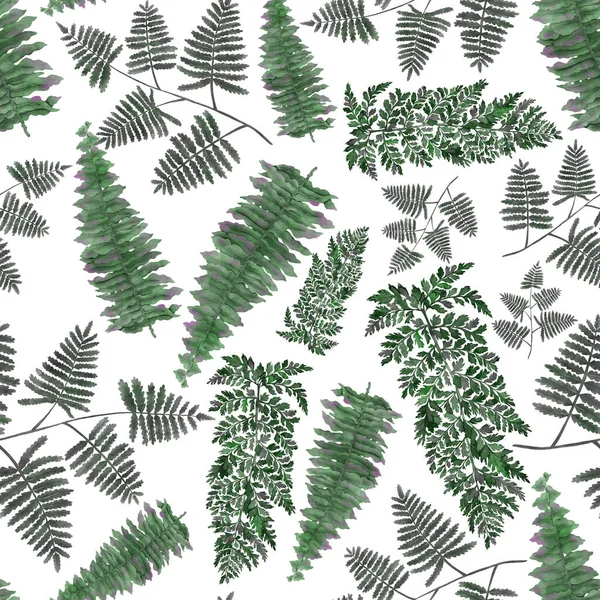 Watercolor Seamless Pattern Fern Leaves Foliage Decoration Vintage Botanical Exotic — 图库照片