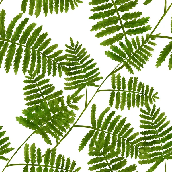 Watercolor Seamless Pattern Fern Leaves Foliage Decoration Vintage Botanical Exotic — Stockfoto