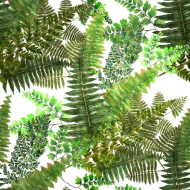 Eğrelti otu yapraklı suluboya desenli. Yaprak süsleme. Klasik botanik egzotik resim duvar kâğıdı.