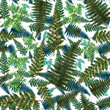 Eğrelti otu yapraklı suluboya desenli. Yaprak süsleme. Klasik botanik egzotik resim duvar kâğıdı.