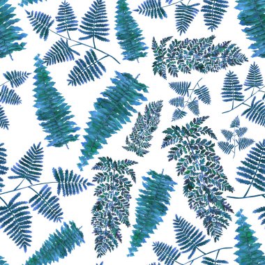 Eğrelti otu yapraklı suluboya desenli. Yaprak süsleme. Klasik botanik egzotik resim duvar kâğıdı.