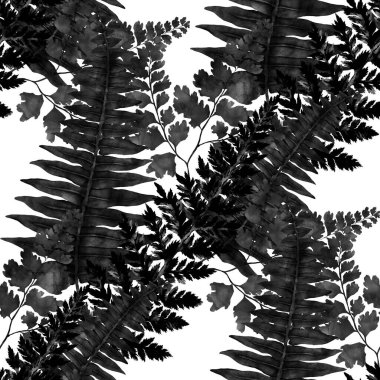 Eğrelti otu yapraklı suluboya desenli. Yaprak süsleme. Klasik botanik egzotik resim duvar kâğıdı.